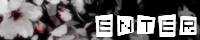 enter